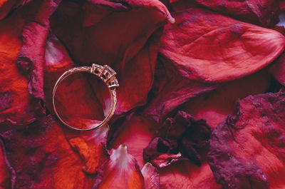 Close-up of wedding ring on red petals