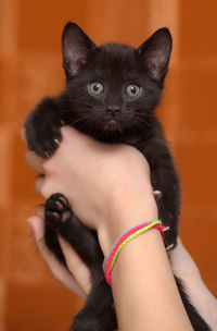 Portrait of woman holding black cat