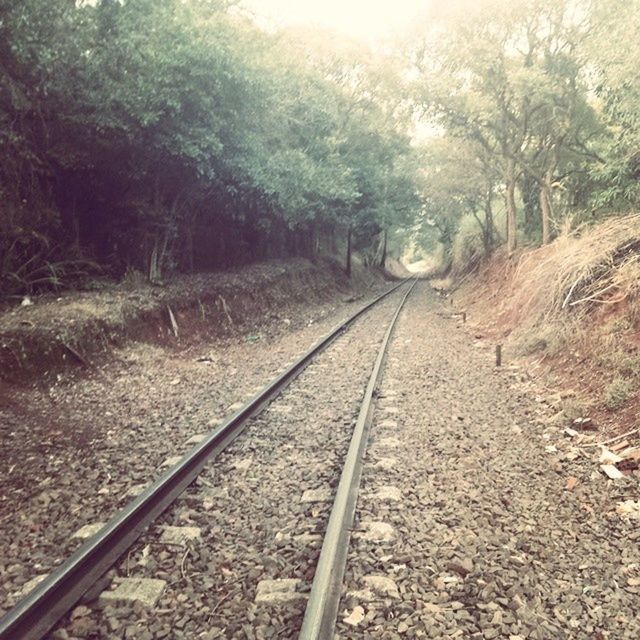 railroad track, rail transportation, transportation, tree, the way forward, diminishing perspective, vanishing point, public transportation, railway track, nature, forest, day, tranquility, outdoors, no people, travel, landscape, tranquil scene, sky, straight