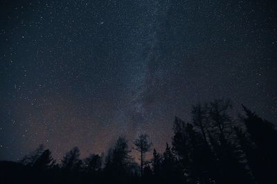 Low angle view of silhouette trees against sky at night