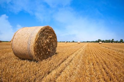 Hay bales on field against sky