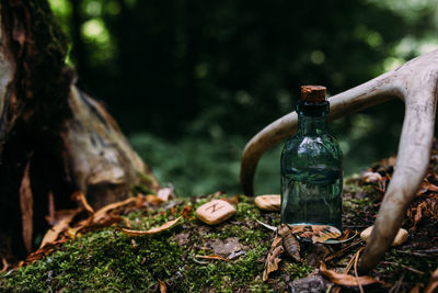 View of wine bottles on field