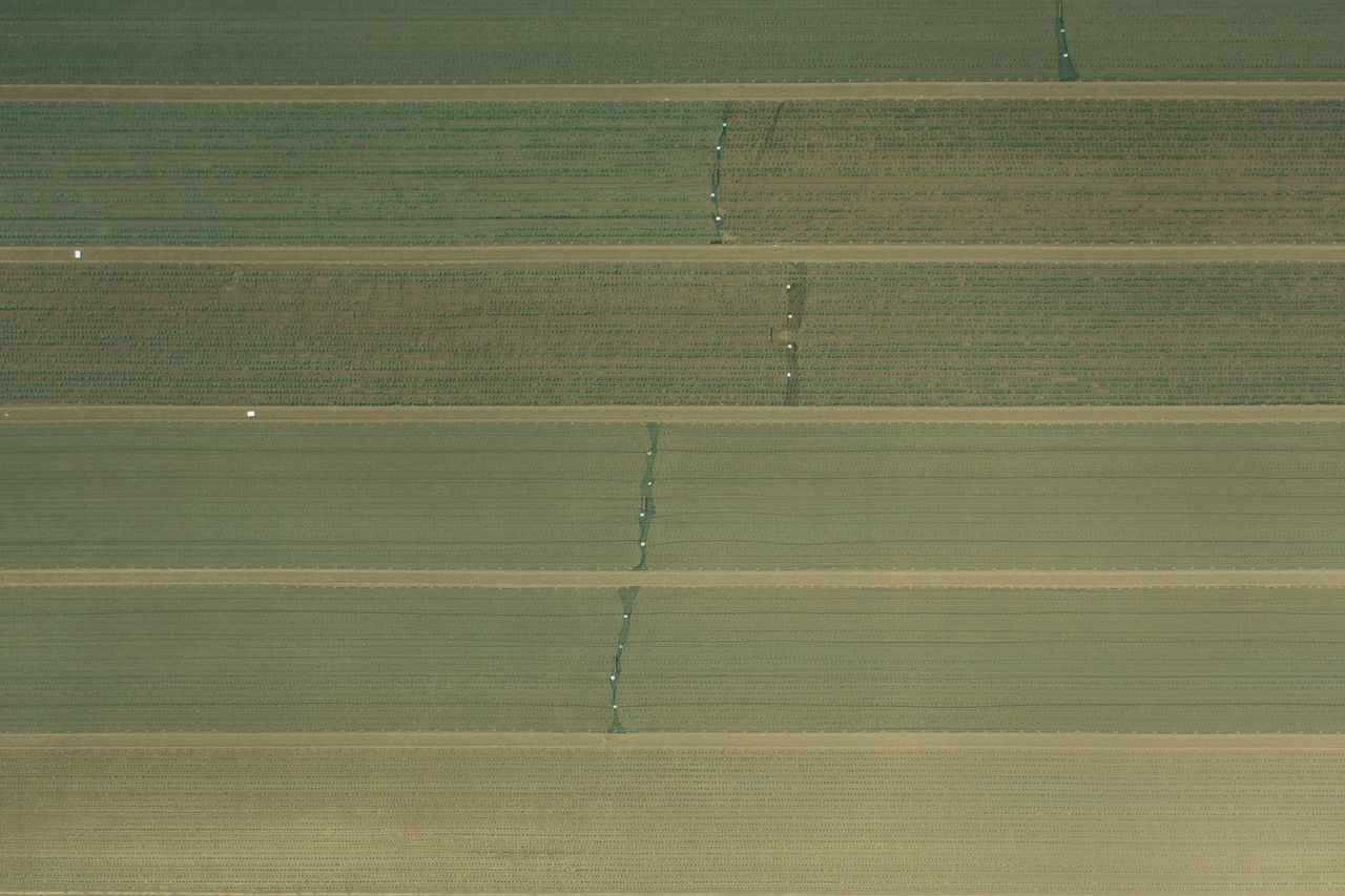 HIGH ANGLE VIEW OF AGRICULTURAL LANDSCAPE