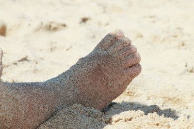 Low section of child at sandy beach