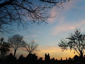 Low angle view of silhouette trees against sky at sunset