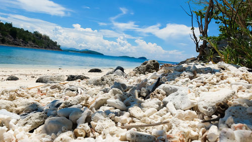 Rocks on beach against sky