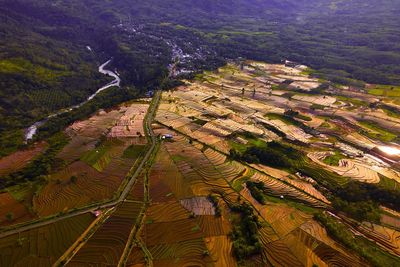 High angle view of landscape