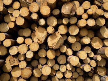 Full frame shot of logs