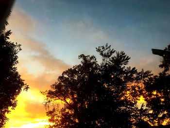 Low angle view of silhouette trees against sky at sunset