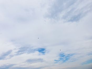 Low angle view of birds flying in sky