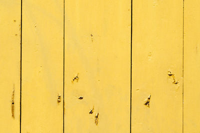 Full frame shot of yellow door