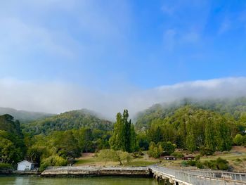 Scenic view of trees on landscape against sky