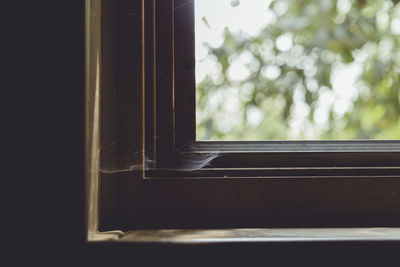 Close-up of window