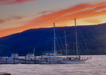 Sailboats in marina at sunset