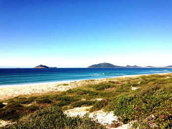 Scenic view of sea against clear blue sky