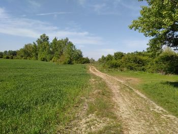 Scenic view of green landscape against sky