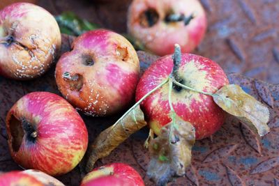 Close-up of rotten apples on table