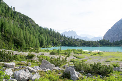 Good spot to pitch a tent, sorapiss lake in the dolomites