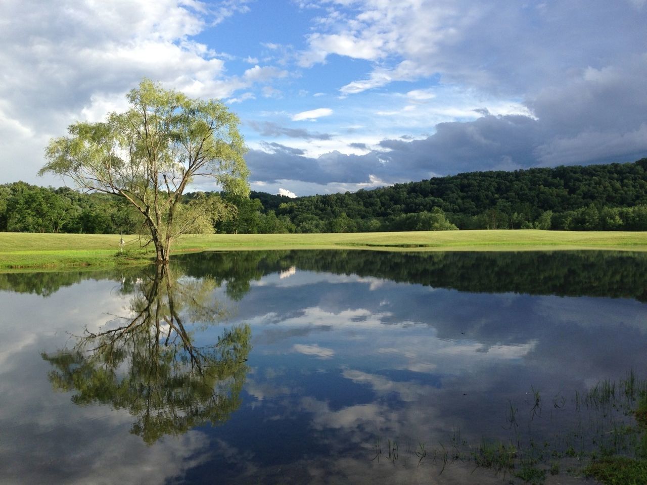 reflection, tranquil scene, tranquility, sky, tree, lake, water, scenics, beauty in nature, cloud - sky, nature, cloud, standing water, cloudy, idyllic, landscape, growth, calm, green color, non-urban scene