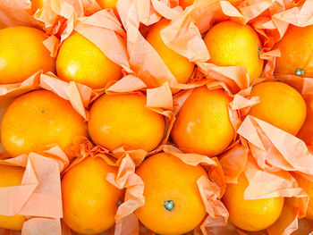 High angle view of oranges