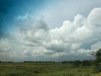 Scenic view of field against sky