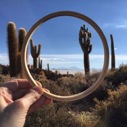 Cactus seen through ring held by person
