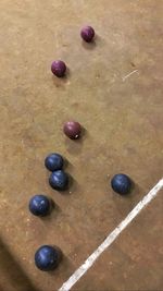 High angle view of fruits on table