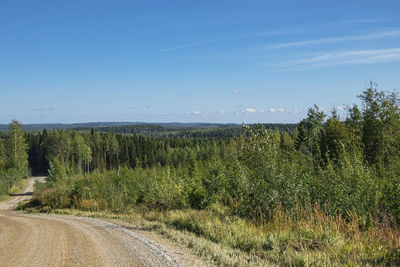 Scenic view of landscape against blue sky