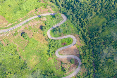 High angle view of road amidst trees on field