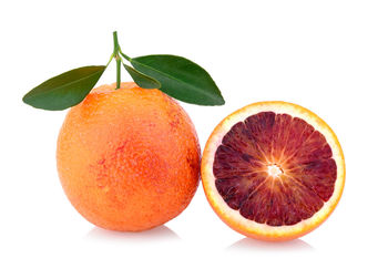 Close-up of orange fruit against white background