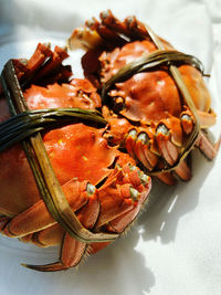 Close-up of seafood in plate