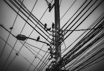 Low angle view of birds on electricity pylon against sky