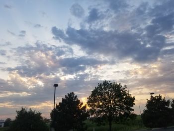 Low angle view of silhouette trees against sky during sunset