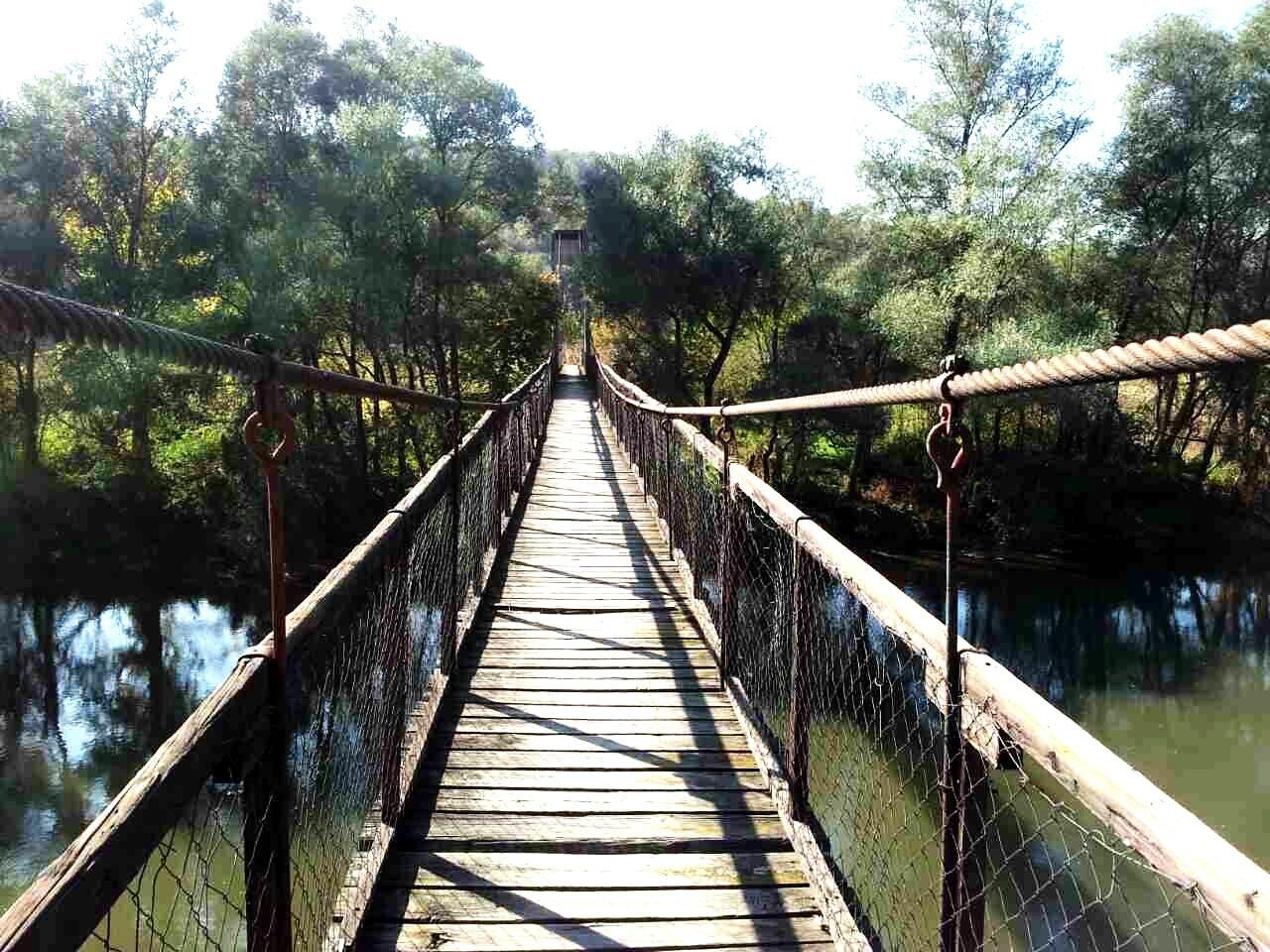 FOOTBRIDGE OVER RIVER IN FOREST