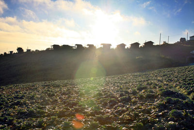 Scenic view of field against sky