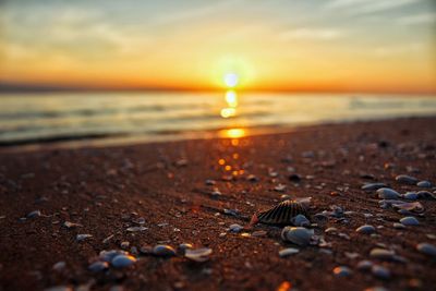 Scenic view of sea during sunset