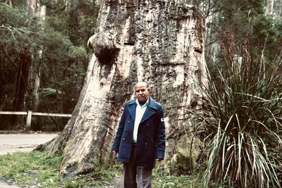 Portrait of man standing by tree trunk in forest