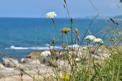 Scenic view of sea against sky