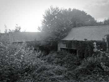 Abandoned house on field