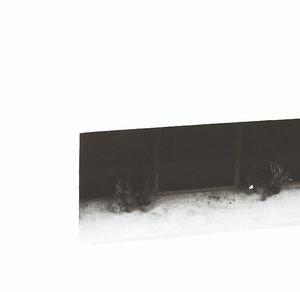 copy space