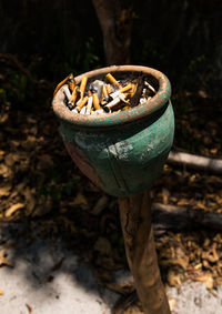 Burnt cigarettes in ashtray