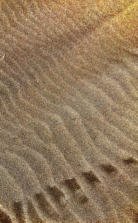 Full frame shot of sand