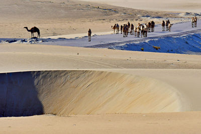 Group of people on beach