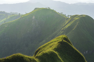 E-tong,pilok,khao chang phueak, kanchananburi thailand