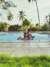 Horse jumping in swimming pool