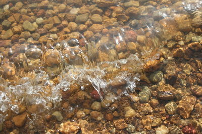 Full frame shot of sea