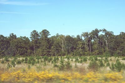 Scenic view of landscape