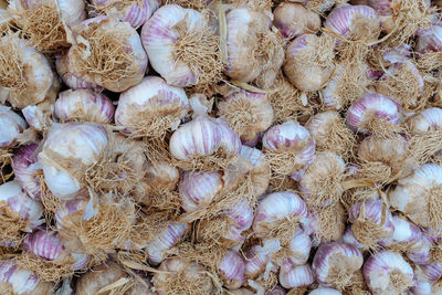 Full frame shot of onions for sale in market