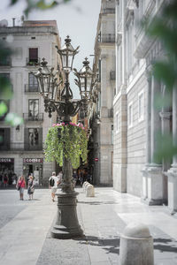 Statue on street in city