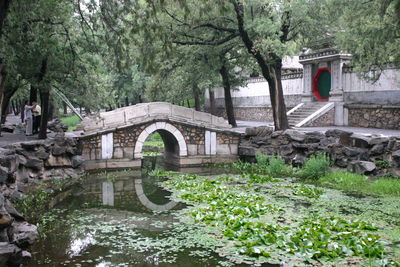 Arch bridge over river in forest